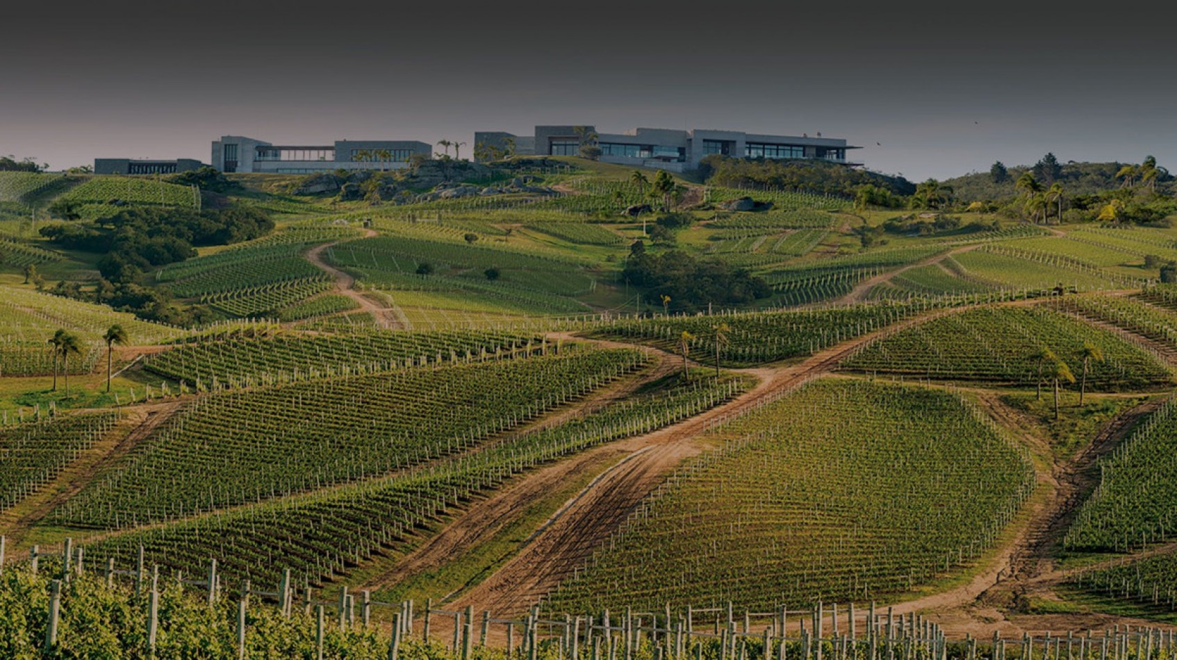Propriete rurale de 39 hectares dans la region viticole de Garzon