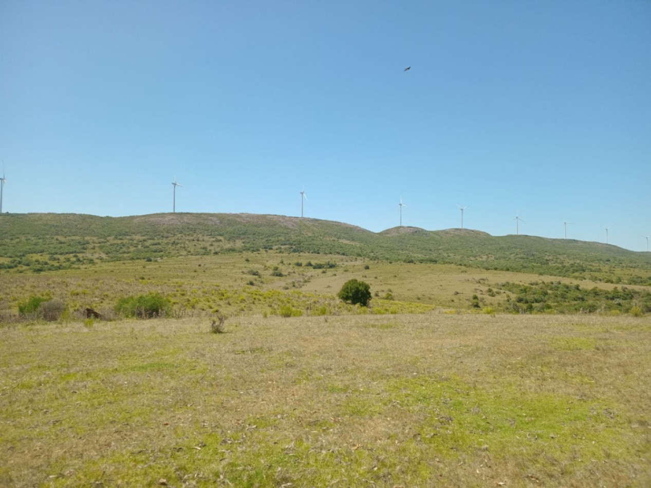 Propriete rurale 740 hectares Sierra de Carape