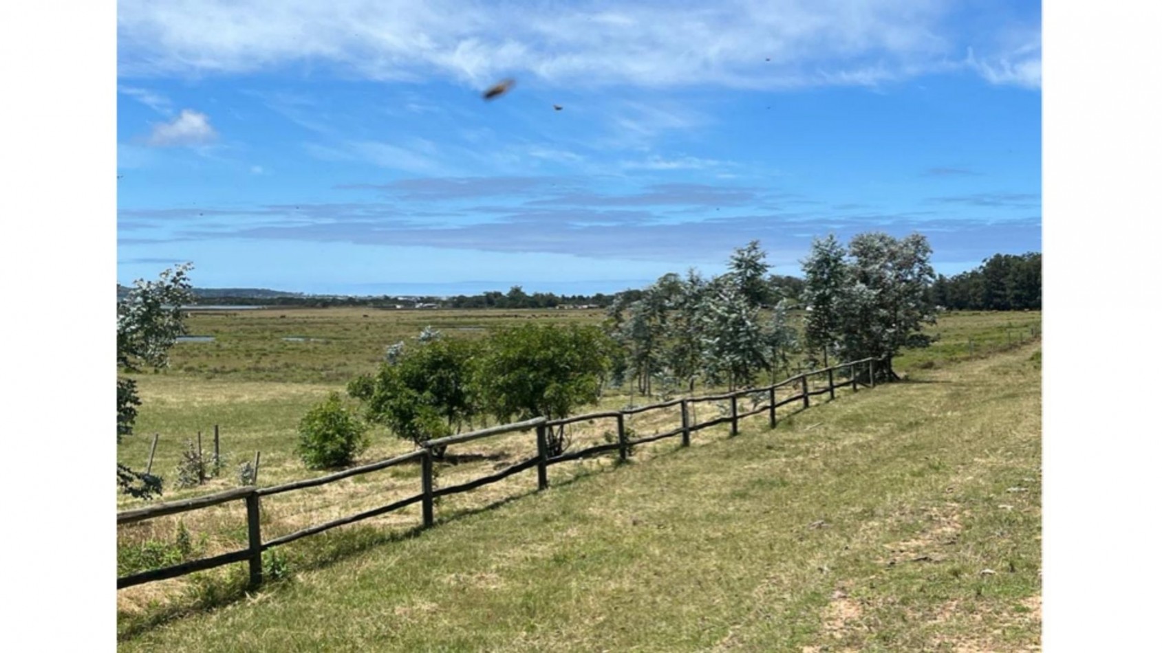 Terrain de 5 hectares situe sur la lagune Jose Ignacio, adjacent au terrain de polo 