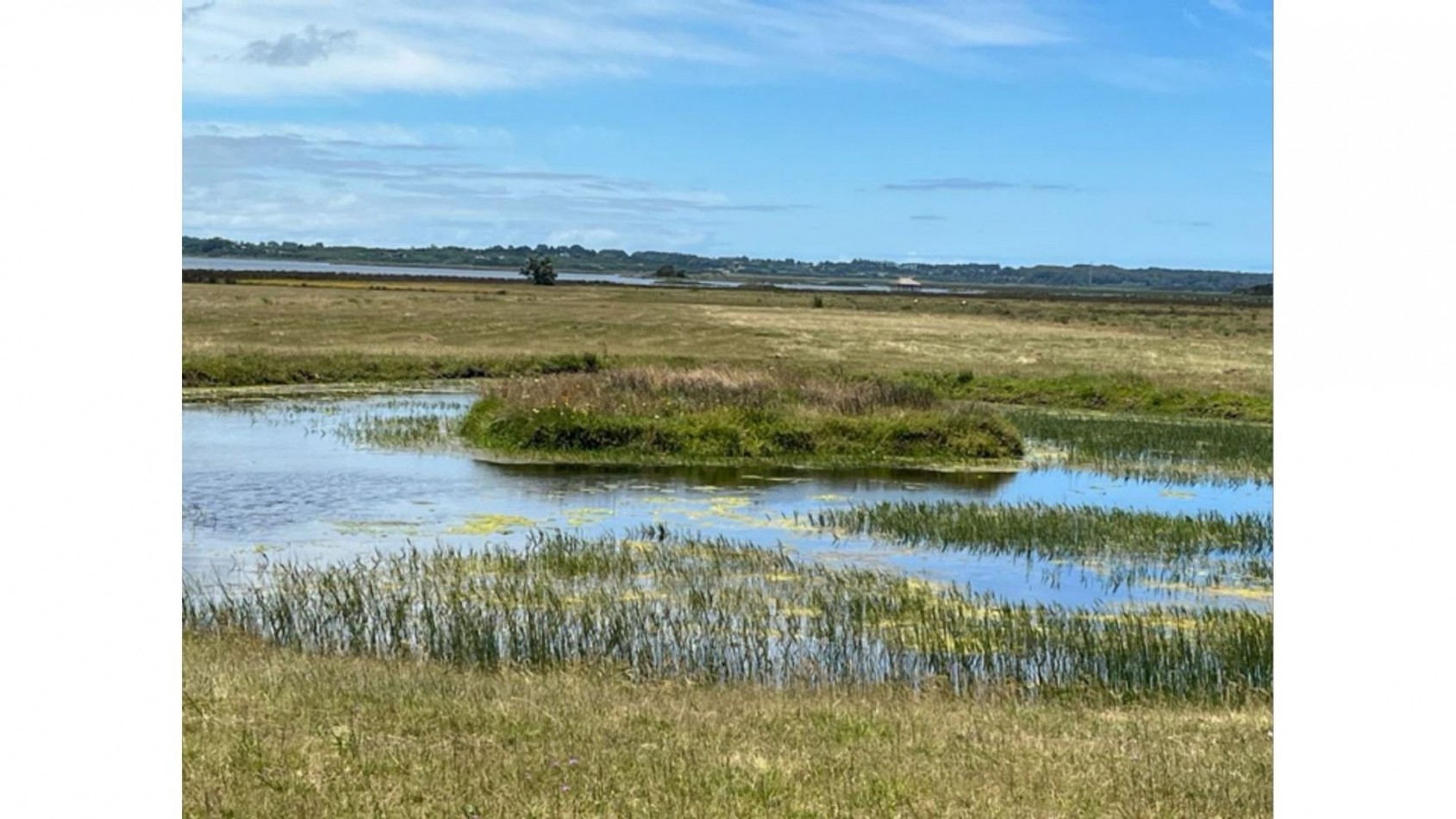 Terrain de 5 hectares situe sur la lagune Jose Ignacio, adjacent au terrain de polo 