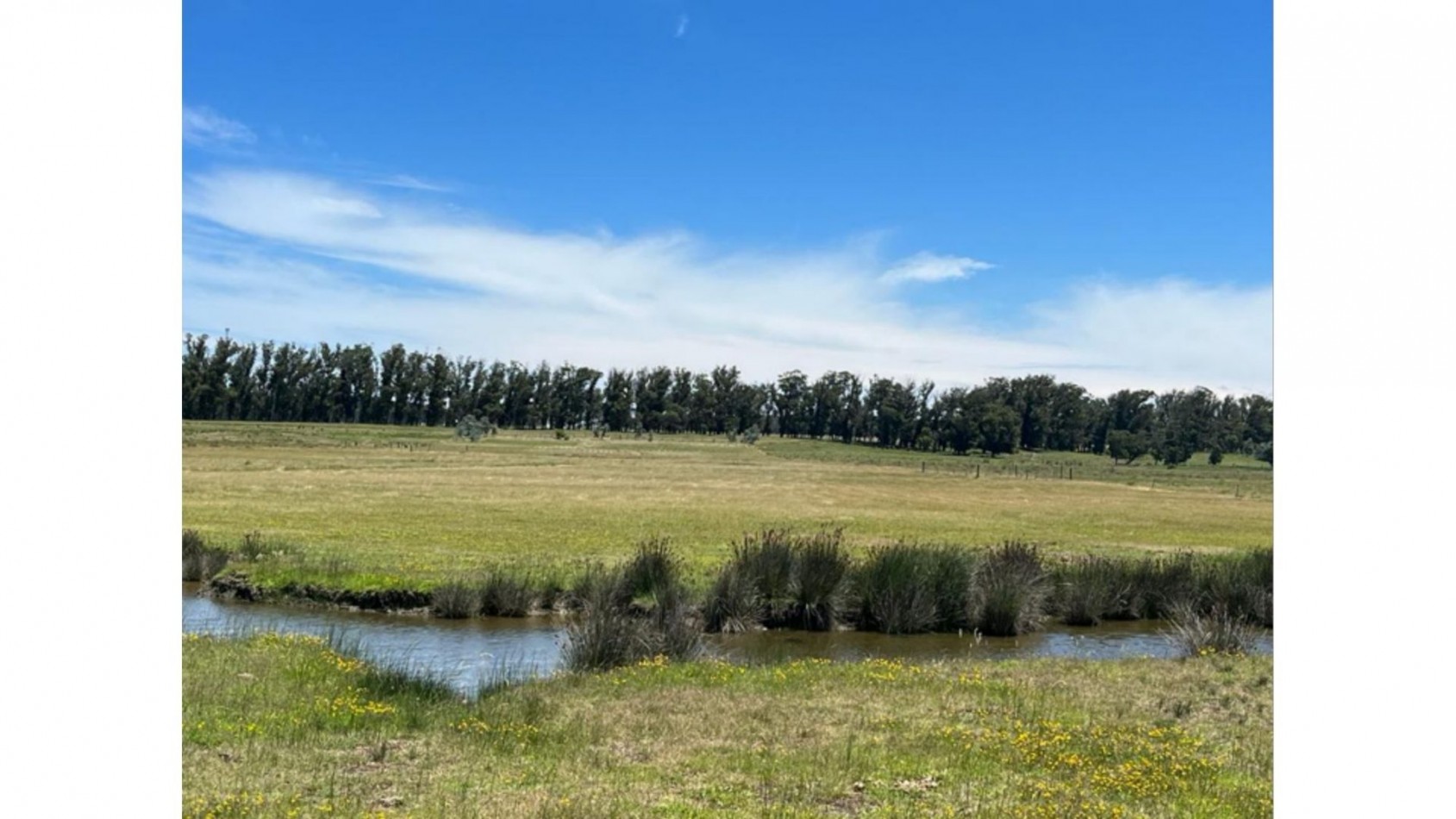 Terrain de 5 hectares situe sur la lagune Jose Ignacio, adjacent au terrain de polo 