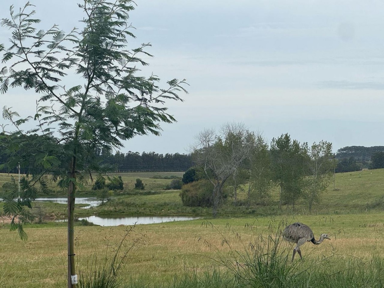 Propriete exclusive de 74 hectares avec 6 chambres dans la zone la plus recherche de Jose Ignacio
