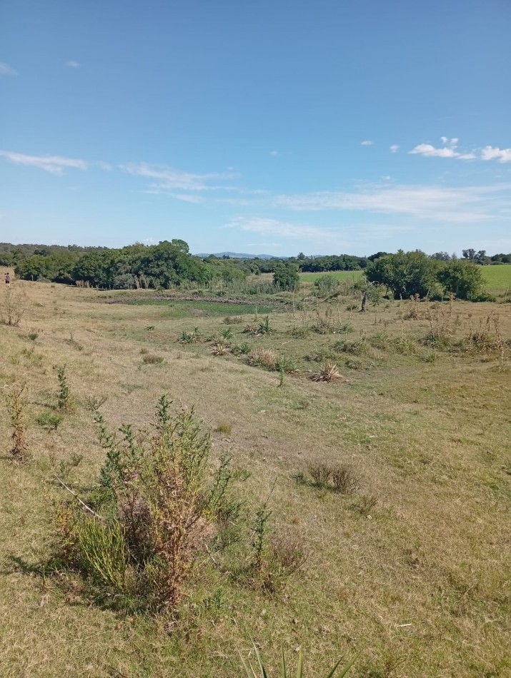 18 hectares a 15 minutes de la plage de Manantiales