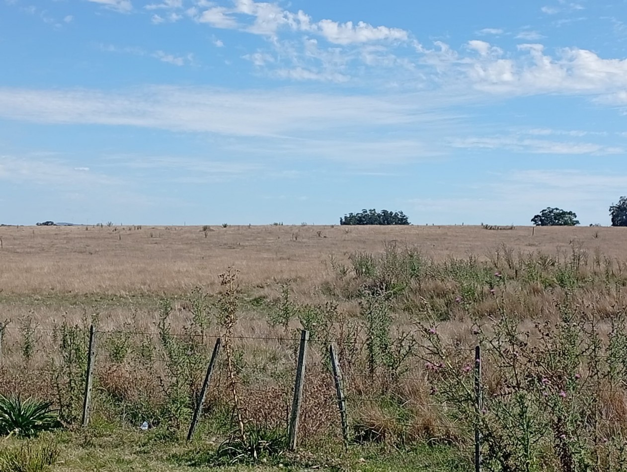 18 hectares a 15 minutes de la plage de Manantiales