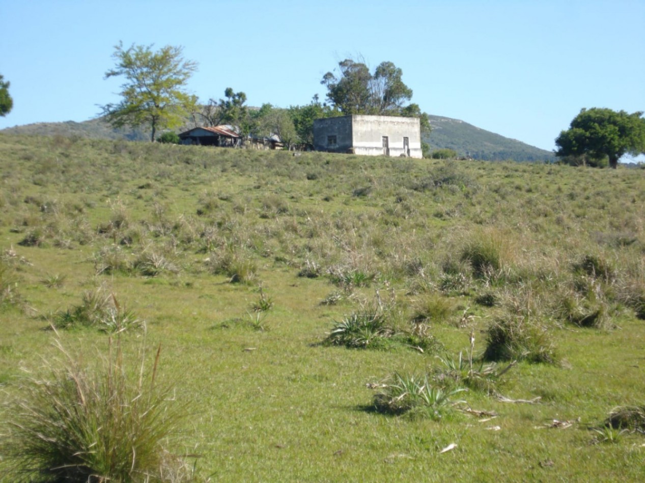 98 hectares de terres naturelles dans la Sierra de Carape. Fort potentiel touristique.