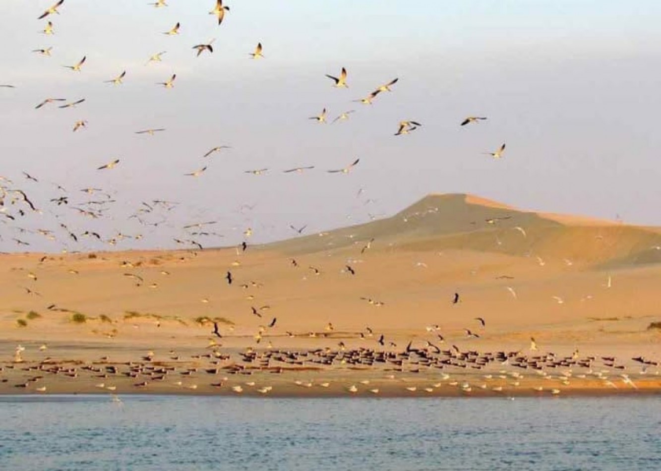 Parc national de Cabo Polonio. Zone exclusive de 18 hectares a acces restreint