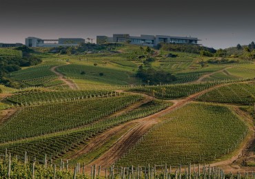 Propriete rurale de 39 hectares dans la region viticole de Garzon
