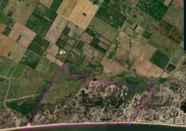Propriete de 197 hectares avec 2500 metres de front de mer sur le Rio de la Plata, a 40 km de Montevideo