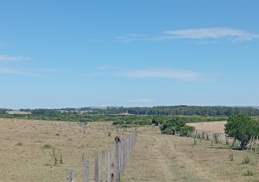 18 hectares a 15 minutes de la plage de Manantiales